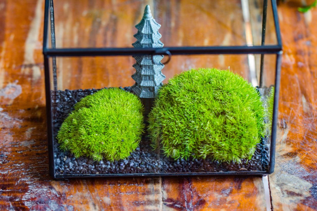 Preserved moss terrarium Miniature DIY set, Japanese Zen Style, Preser — NCYPgarden Preserved moss terrarium Miniature DIY set, Japanese Zen Style, Preser — NCYPgarden