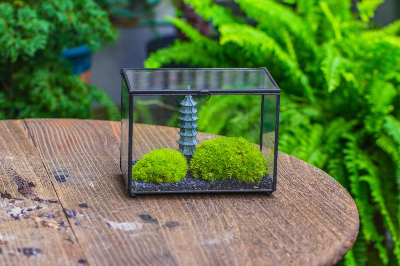 Preserved moss terrarium Miniature DIY set, Japanese Zen Style, Preser — NCYPgarden Preserved moss terrarium Miniature DIY set, Japanese Zen Style, Preser — NCYPgarden